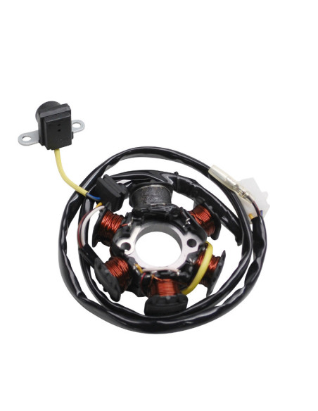 Stator d'allumage Peugeot 50 TKR / Trekker / Speedfight / Vivacity 2T / Buxy / X-Fight / Elyseo / Looxor (6 pôles)
