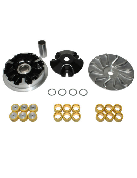 Variateur maxiscooter high performance Yamaha 125 X-Max / Majesty / X-City / MBK 125 Skycruiser / Skyliner / Cityliner