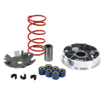 Variateur scooter Peugeot 50 TKR / Trekker / Speedfight / Buxy 2