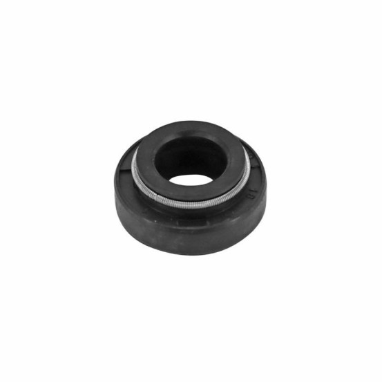Joint spi de pompe à eau Minarelli 50 AM6 / MBK 50 X-Power / Yamaha 50 TZR / Peugeot 50 XPS / Rieju 50 RS1 / Aprilia 50 RS