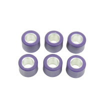 Jeu de 6 galets de variateur ATHENA 16x13mm