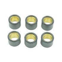 Jeu de 6 galets de variateur ATHENA 19x15,5mm