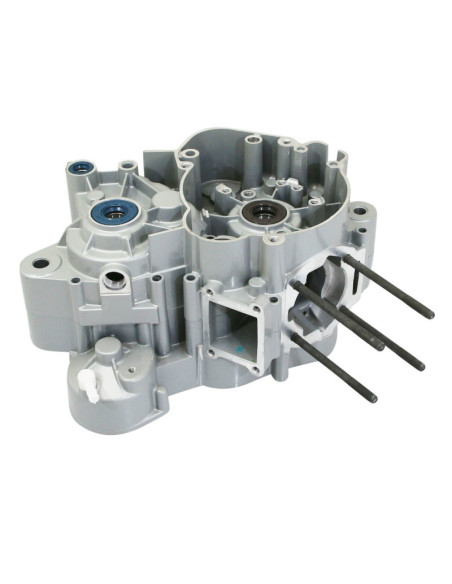 Carter moteur 50 à boite origine Piaggio Gilera 50 SMT / RCR / Derbi 50 Senda / Aprilia 50 SX / RX (moteur euro 3)