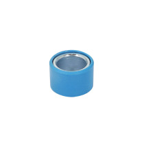 Galet / rouleau 25x17 maxisccoter origine Piaggio 500 Beverly / X9-evolution / MP3 / X10 / Aprilia 400 / 500 Atlantic (21 g)