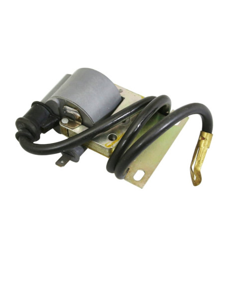 Bobine d'allumage origine Piaggio 125 Typhoon 2T / Skipper 2T / Sfera / Vespa ET4 / Hexagon 2T / 50 Typhoon / Zip