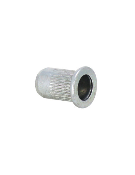 Rivet plastique filete (M6) origine Aprilia