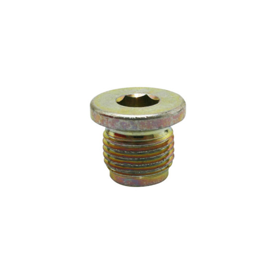 Bouchon de tendeur chaîne de distribution origine Piaggio Aprilia 1000 RSV-2 / Tuono V2 / Caponord / 125 Leonardo / Scarabeo