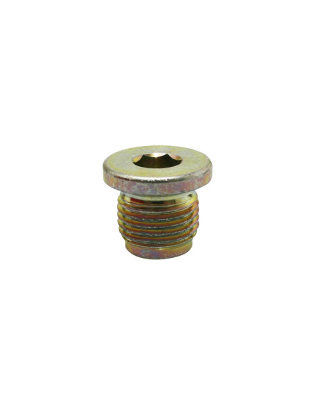 Bouchon de tendeur chaîne de distribution origine Piaggio Aprilia 1000 RSV-2 / Tuono V2 / Caponord / 125 Leonardo / Scarabeo