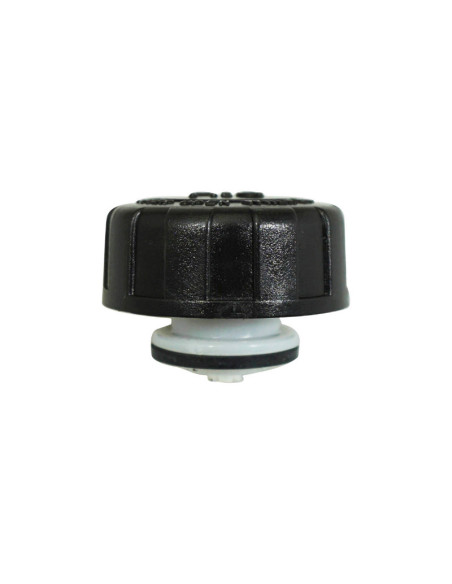 Bouchon liquide refroidissement origine Piaggio 50 NRG / 125 Hexagon