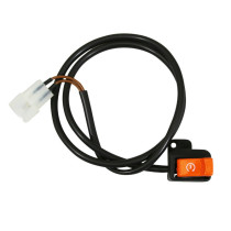 Bouton-interrupteur de demarrage origine Piaggio Aprilia 50 RS / Pegaso / europa / Classic / AF1