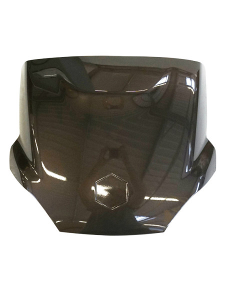 Carénage porte de coffre arrière origine Piaggio 125 / 250 / 400 MP3 2006-2009 marron 126/A