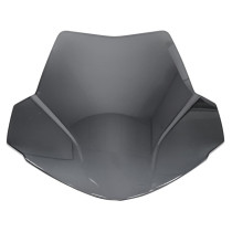 Coupole de tableau de bord origine Aprilia 125 / 200 Sport City 2004-2008