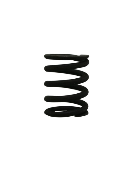 Ressort externe de soupape origine Piaggio Moto Guzzi 1200 Breva / Norge / Sport / 940 Bellagio
