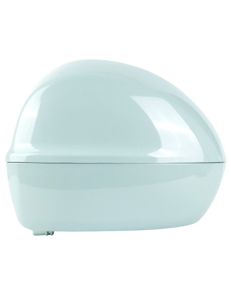 Top case 32L origine Piaggio 50 / 125 Primavera 2012-2023 amabile green (vk)