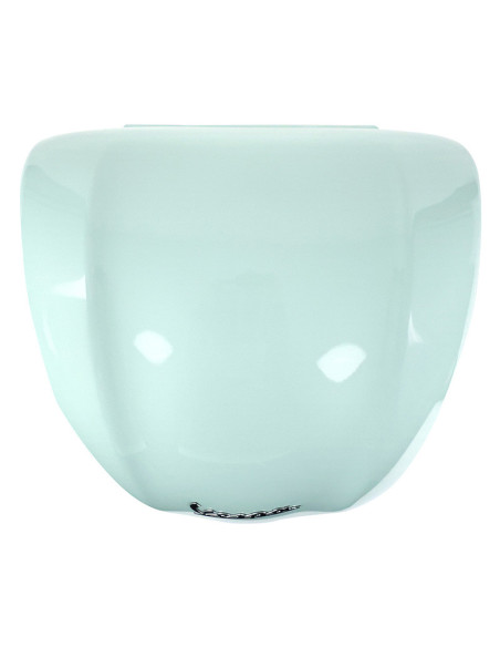 Top case 32L origine Piaggio 50 / 125 Primavera 2012-2023 amabile green (vk)