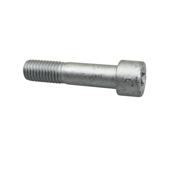 Vis BTR (12x52) fixation de chassis origine Piaggio Aprilia 750 / 900 Shiver / 750 / 900 / 1200 Dorsoduro