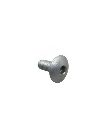 Vis BTR (6x14) fixation carénage origine Piaggio Gilera 50 GPR