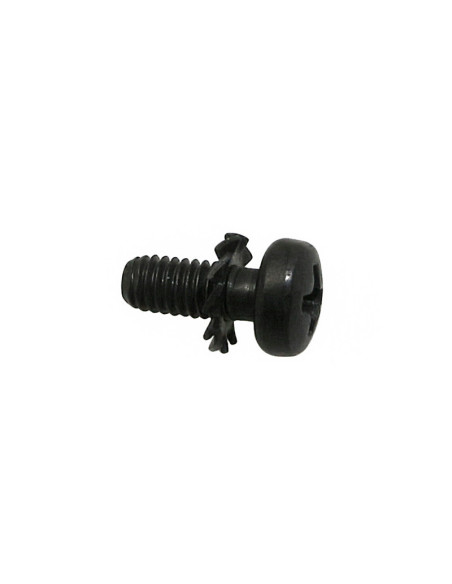 Vis cruciforme (4x10) origine Piaggio