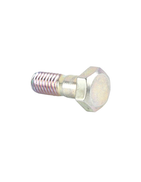 Vis fixation pipette de carburateur origine Piaggio