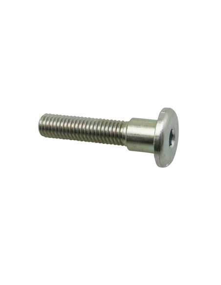 Vis spéciale support de bulle origine Moto Guzzi 1200 Stelvio / Aprilia 1200 Caponord