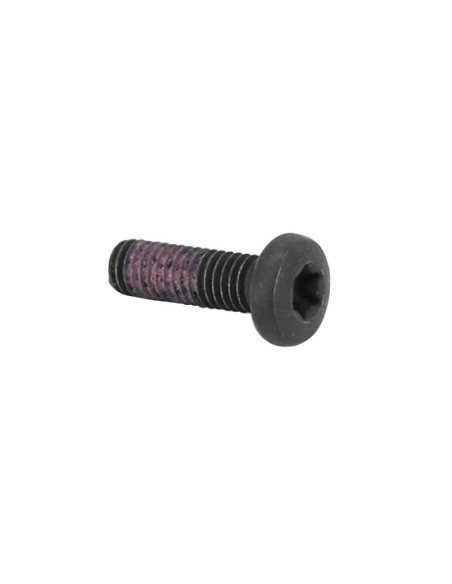 Vis Torx (5x16) origine Piaggio