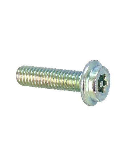 Vis Torx (6x25) origine Piaggio