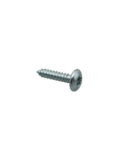 Vis Torx autotaraudeuse (4,2x21,5) origine Piaggio