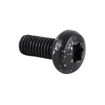 Vis Torx tête bombée (6x14) origine Piaggio