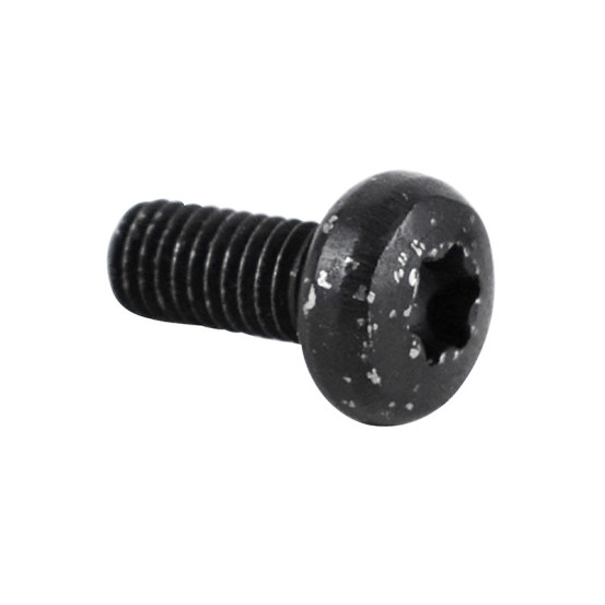 Vis Torx tête bombée (6x14) origine Piaggio