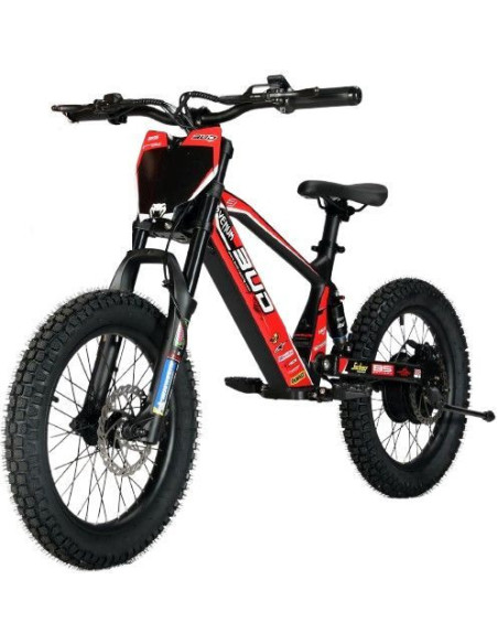 Draisienne Électrique 18 Pouces Bud Racing Rouge