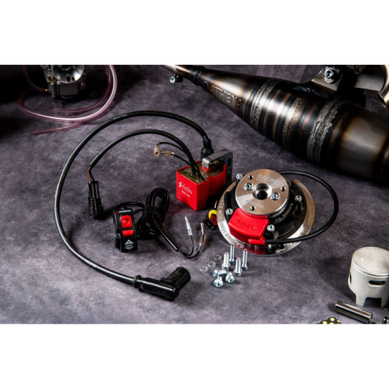 Allumage à rotor interne + ECU avec 2 courbes ATHENA pour moteur MINARELLI - APRILIA - BENELLI - BETA - CPI - FANTIC - ITALJE..