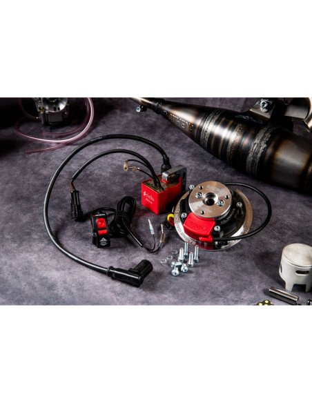 Allumage à rotor interne + ECU avec 2 courbes ATHENA pour moteur MINARELLI - APRILIA - BENELLI - BETA - CPI - FANTIC - ITALJE..