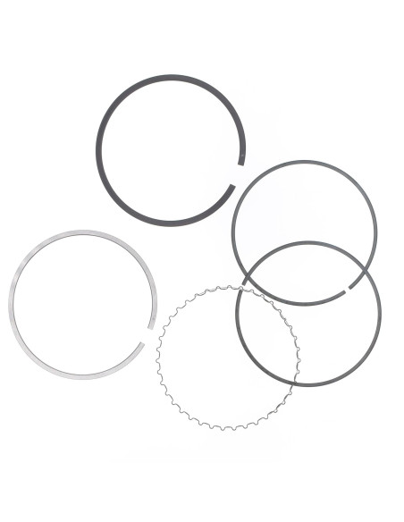 Segments pour piston ATHENA - 250 TC, TE, TXC, SMR