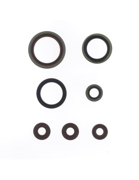 Pochette de joints spi bas moteur ATHENA - Sherco 250/300 SER