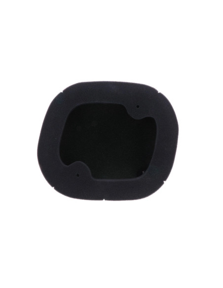Filtre à air pré-huilé pour kit POWERFLOW TWIN AIR - Triumph TF 250-450 X 2024-2025