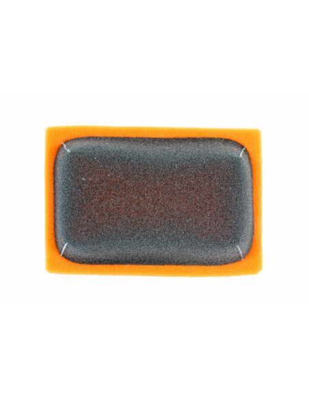 Filtre à air pré-huilé TWIN AIR - BMW R 1200 / 1250 2015-2019