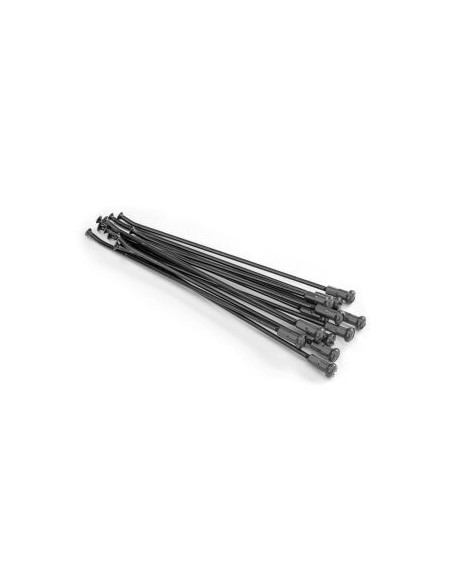 Jeu de rayons Kite arrière 19 pouces (12 pièces)