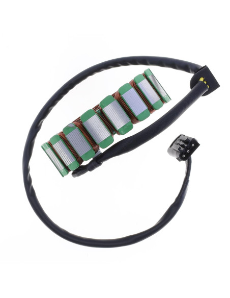 Stator d'allumage ATHENA BMW F650GS 2008-2012 / F700GS 2013-2017 / F800GS 2008-2017 / F800 GT 2013-2019
