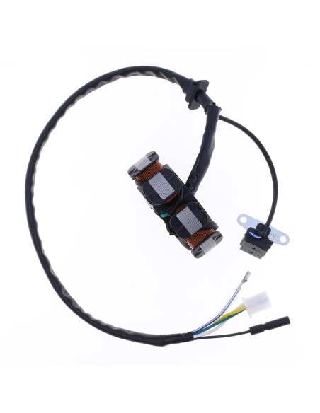 Stator d'allumage ATHENA SYM Symply / Symphony / X-Pro / Super Duke / Orbit / Fiddle II / Allo / Peugeot Sum-Up