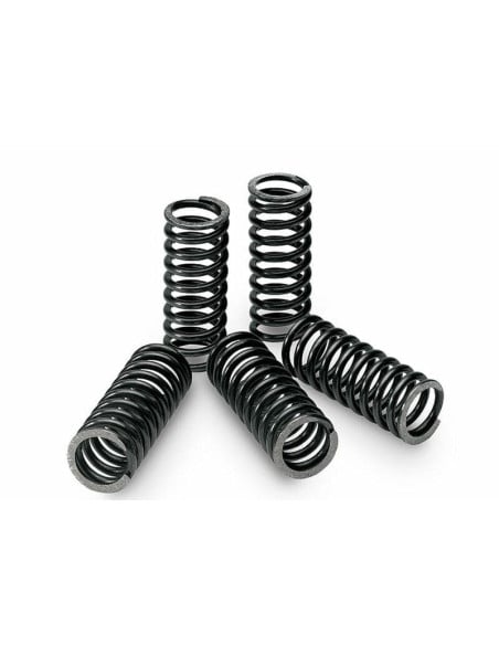 Kit 6 ressorts d'embrayage standard TECNIUM - SUZUKI 450 RM-X Z 2010-2011 / RM Z 2005-2014