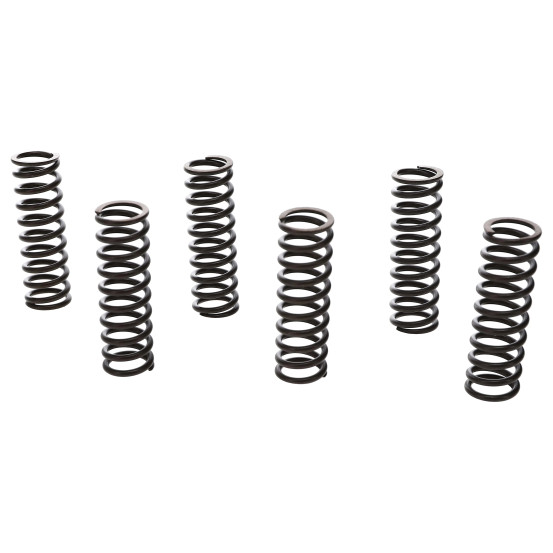 Kit ressorts d'embrayage renforcés PROX - HONDA 450 CRF R 2021-2026