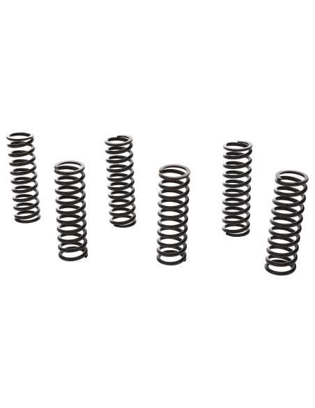 Kit ressorts d'embrayage renforcés PROX - HONDA 450 CRF R 2021-2026