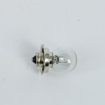 Ampoule LAMP S3 P26S