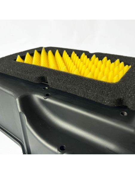 Filtre à air FWF Funnelweb Proline Ducati 937 DessertX 2023-2025