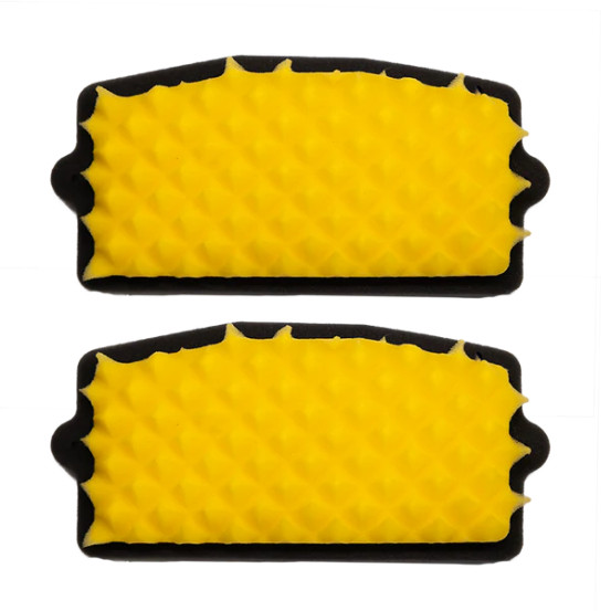 Filtre à air FWF Funnelweb Proline BMW 1300 GS 2024-2026 (Pack x2)