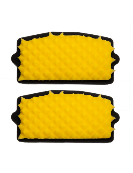 Filtre à air FWF Funnelweb Proline BMW 1300 GS 2024-2026 (Pack x2)