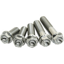 Vis titane SCAR M8x15