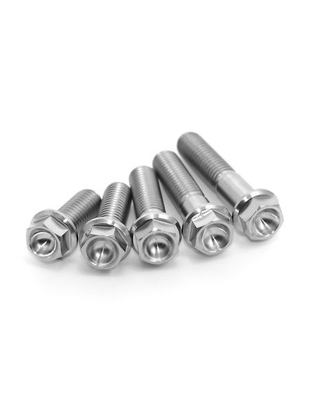 Kit 2 vis titane SCAR M6X18