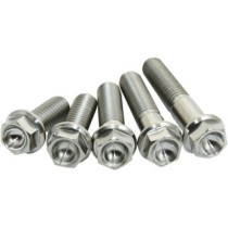 Kit 2 vis titane SCAR M6X28
