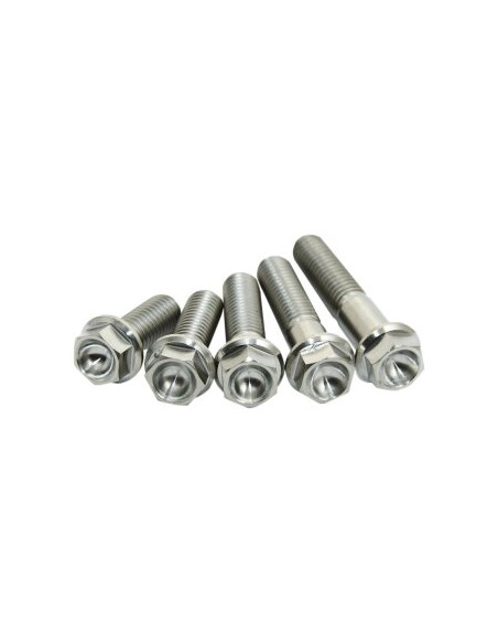 Kit 2 vis titane SCAR M6X28